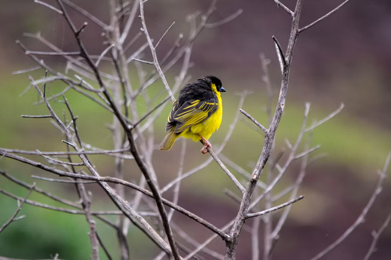 Free family days out and places to visit in Ronda Cynon Taff