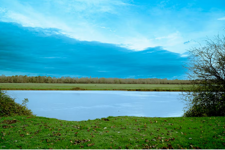 free things to do with kids in Oxfordshire