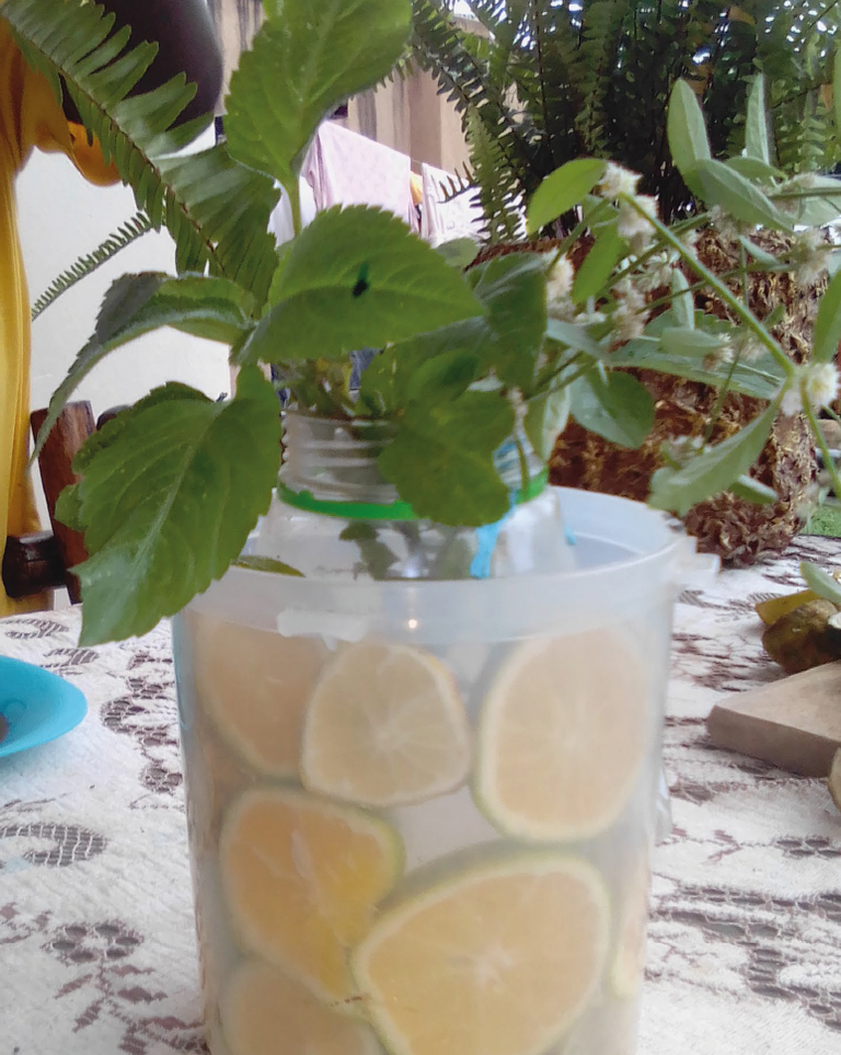 activities for kids using lemons