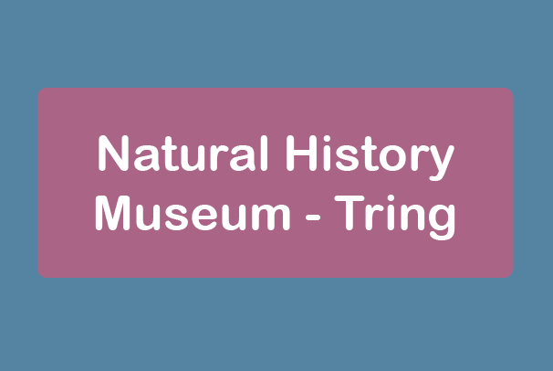 free things to do with kids in Hertfordshire