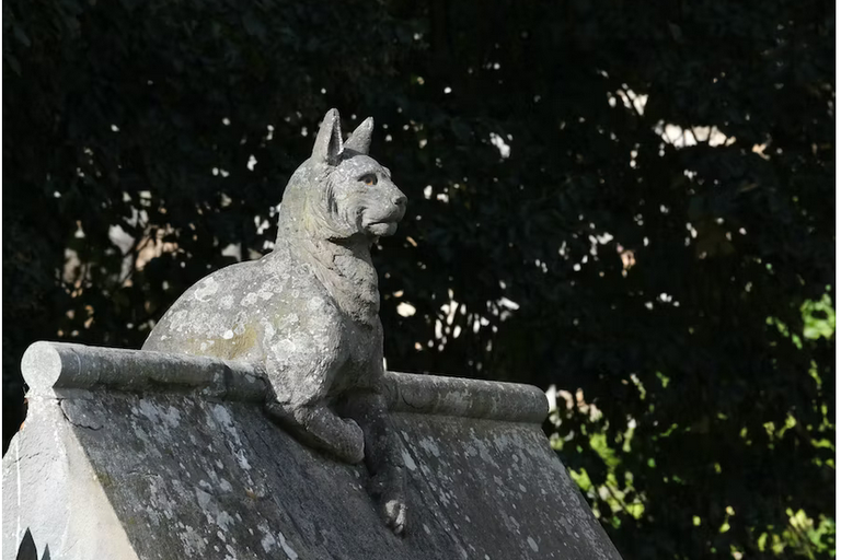 free things to do with kids in Cardiff